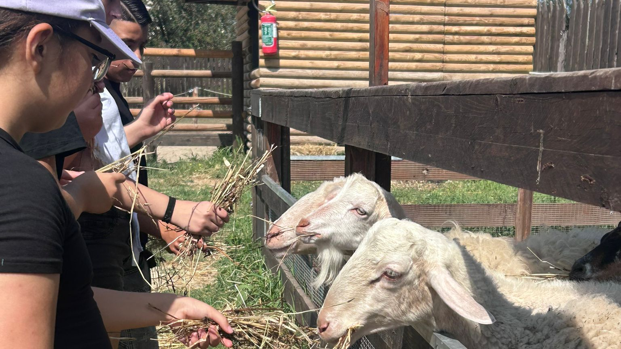 Foto evento MIA - Percorsi di futuro 3