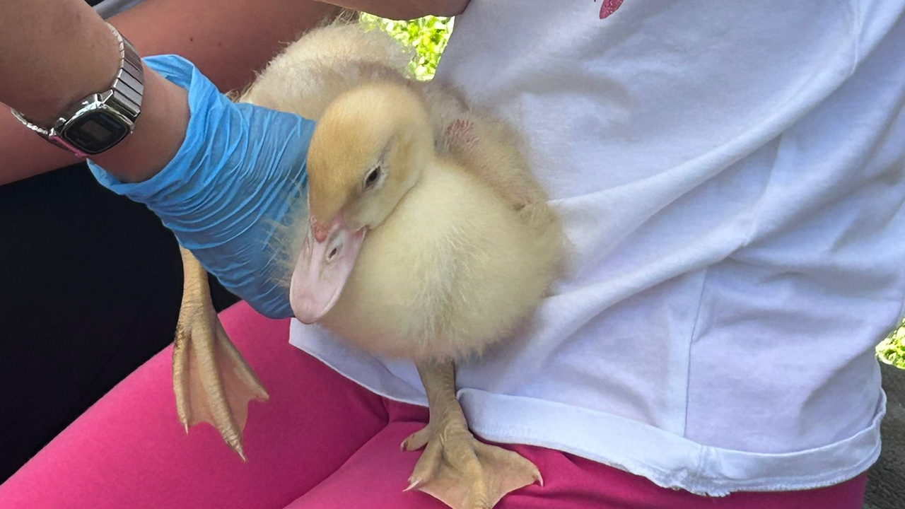 foto MIA - Percorsi di futuro 4