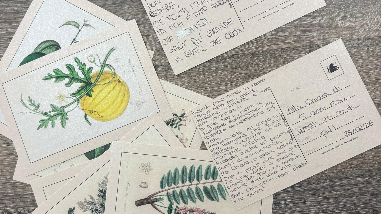 WhatsApp Image 2026-03-05 at 11.33.29