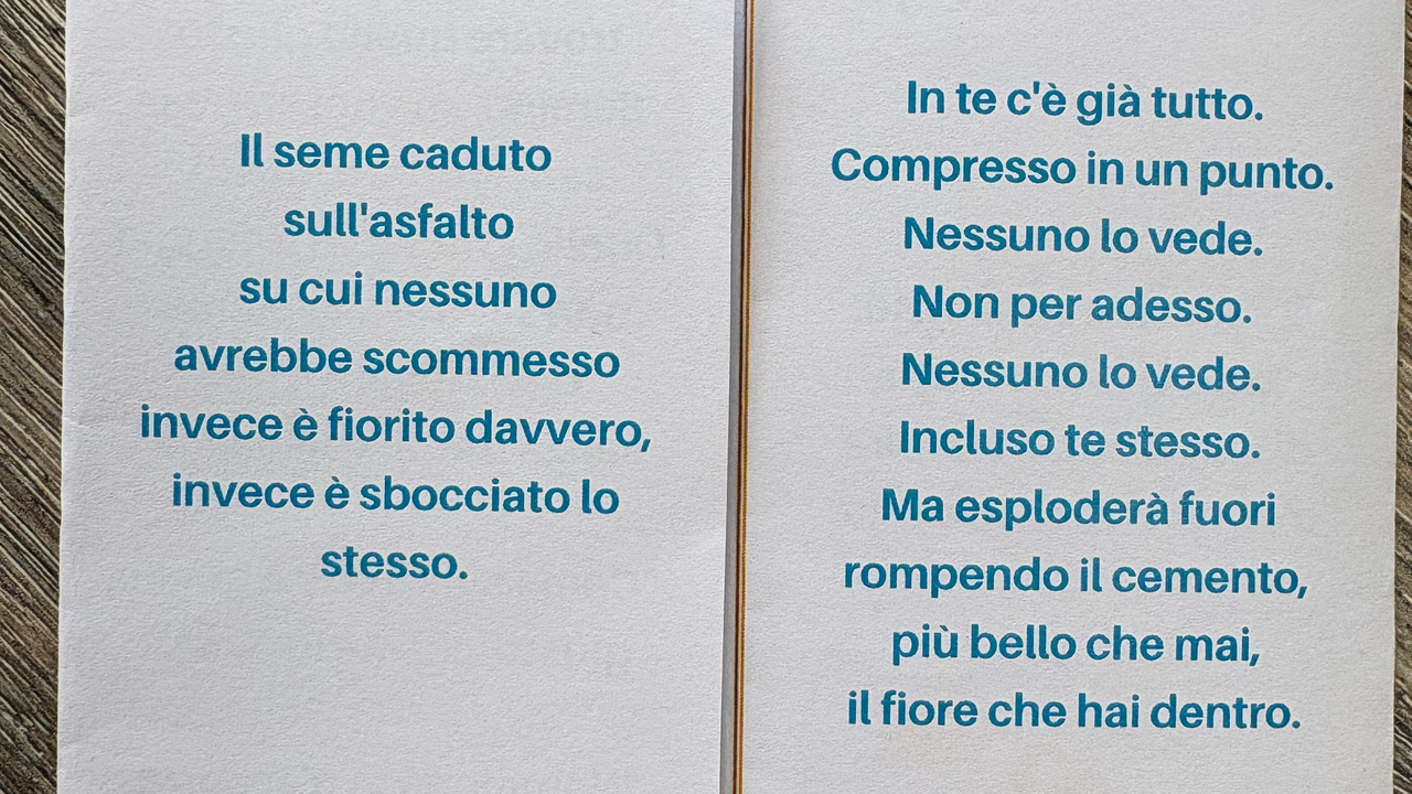 WhatsApp Image 2026-03-05 at 11.34.05 (10)