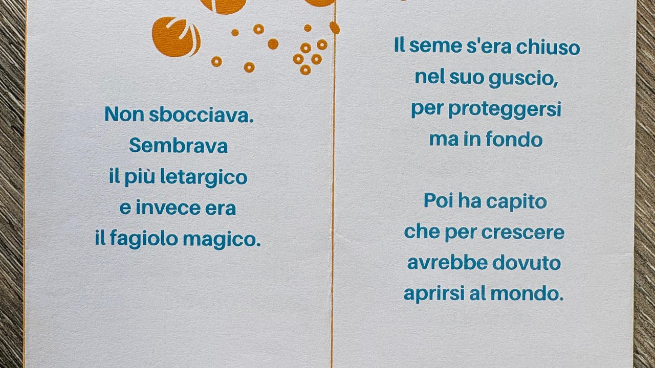 WhatsApp Image 2026-03-05 at 11.34.05 (15)